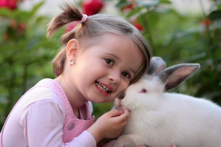 Společná návštěva minizoo v Mladé Boleslavi: 14.10.2017 ve 14:00